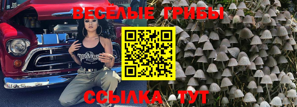 Первоуральск  Галлюциногенные грибы Cubensis  Псилоцибиновые грибы прущие грибы  Вход с VPN 